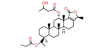 Honulactone K